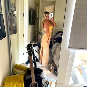 Indah brand maxi dress